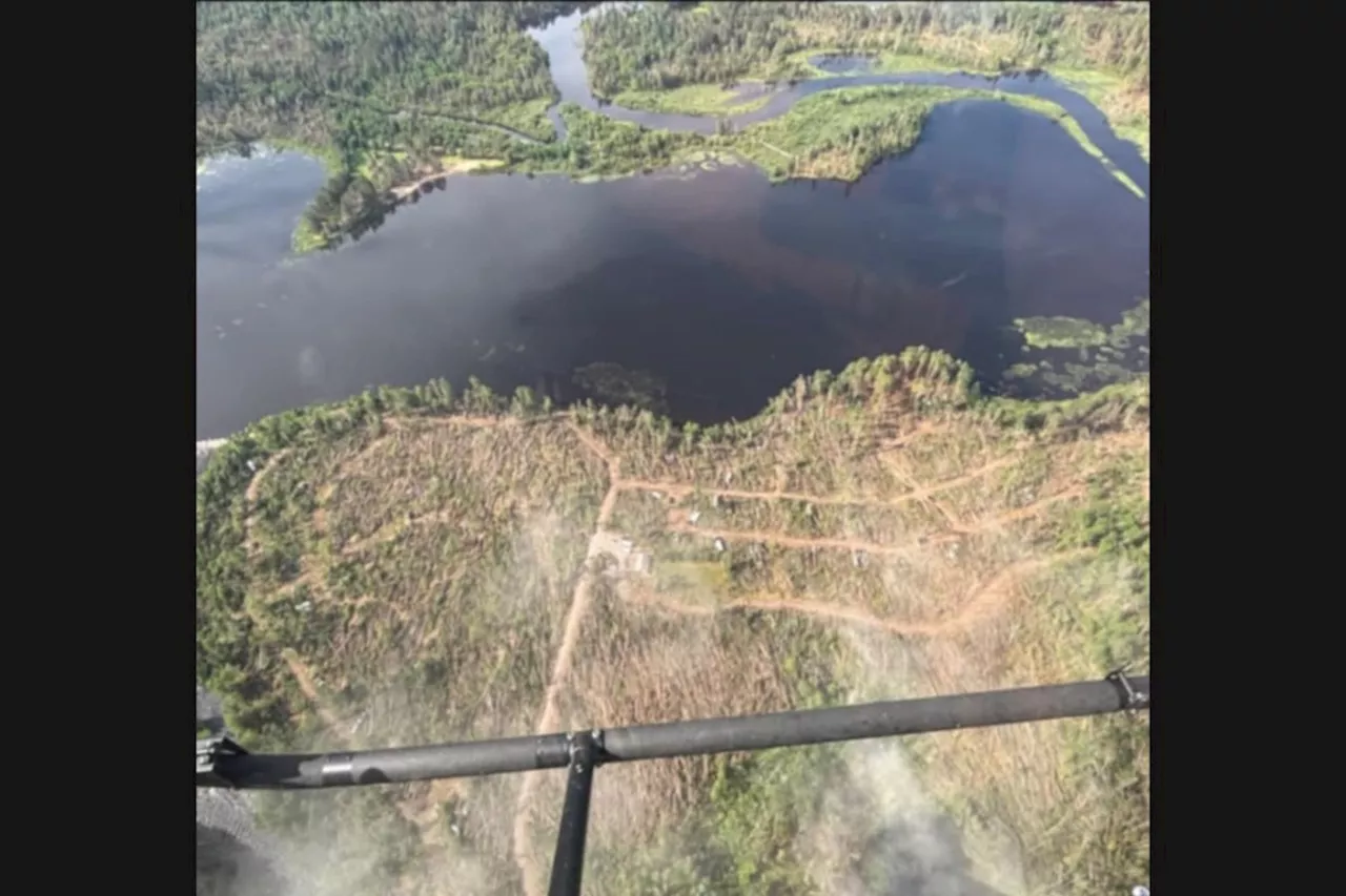 BACK ROADS BILL: Storm reshapes Ontario park as experts predict forest's future
