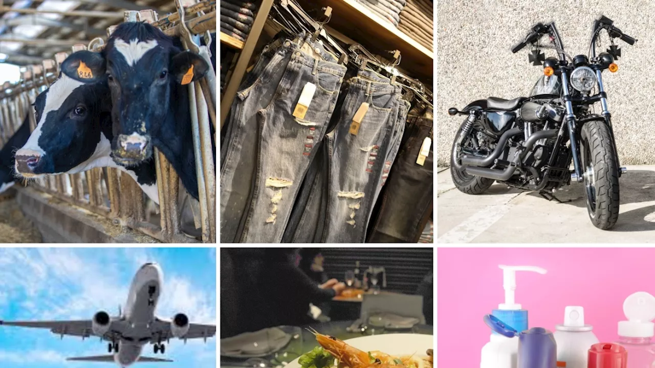 Dazi, falchi contro colombe sulla reazione Ue agli Usa. Dai jeans alle Harley Davidson, i «bersagli» europei