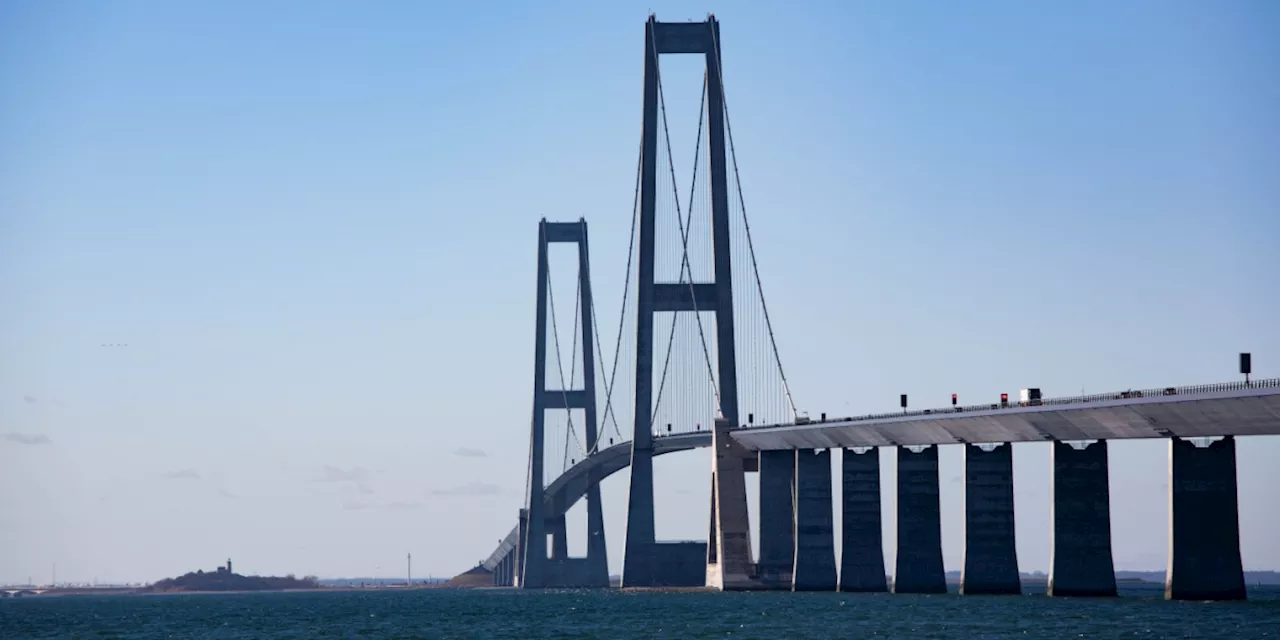 Fremmed og farlig dyr fundet i dansk farvand: 'Den er sindssyg giftig' - Dagens