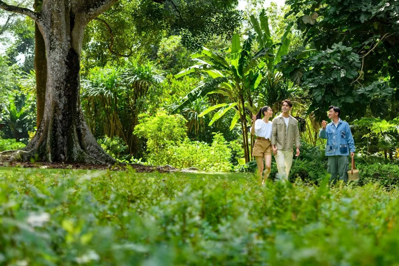 Conrad Hotels and Resorts launches 1/3/5 program to inspire meaningful travel experiences