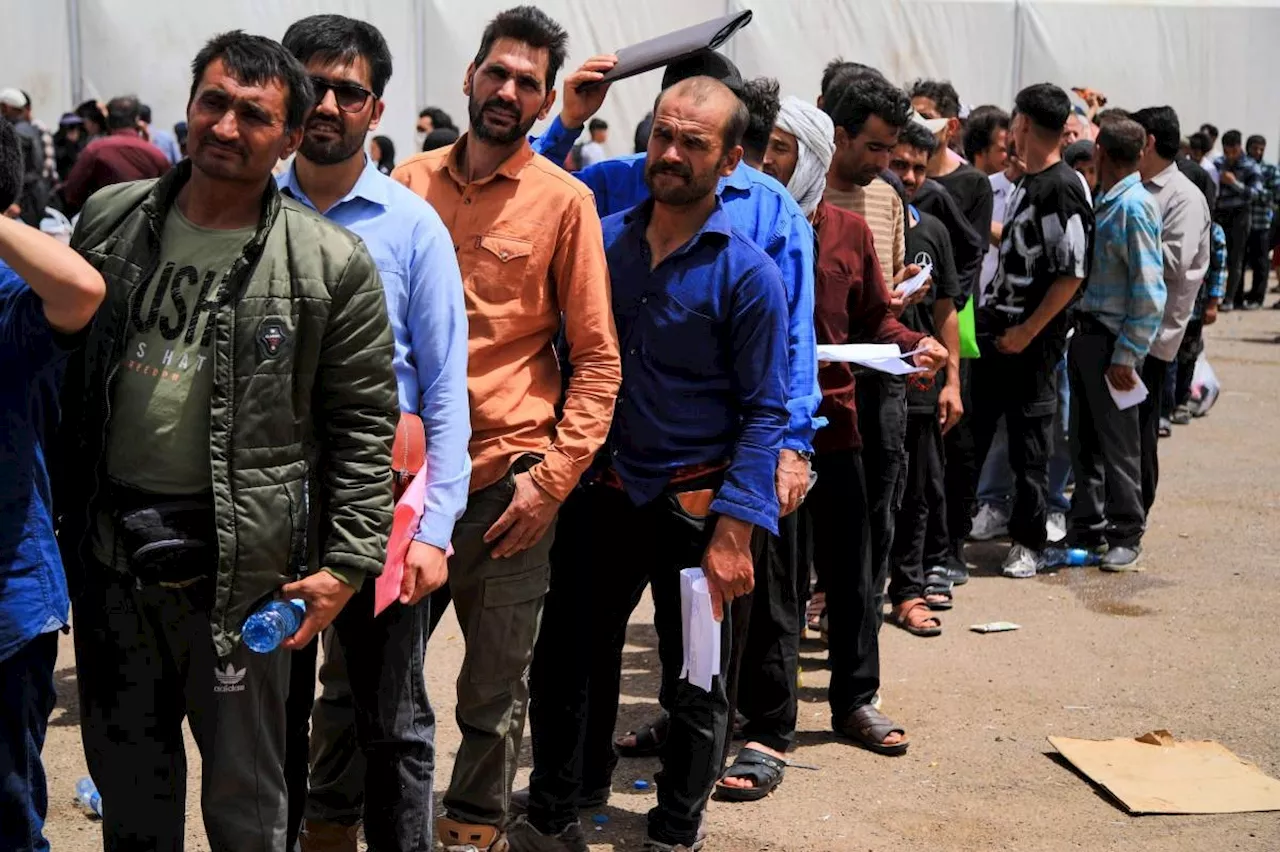 Three million Afghans could return this year