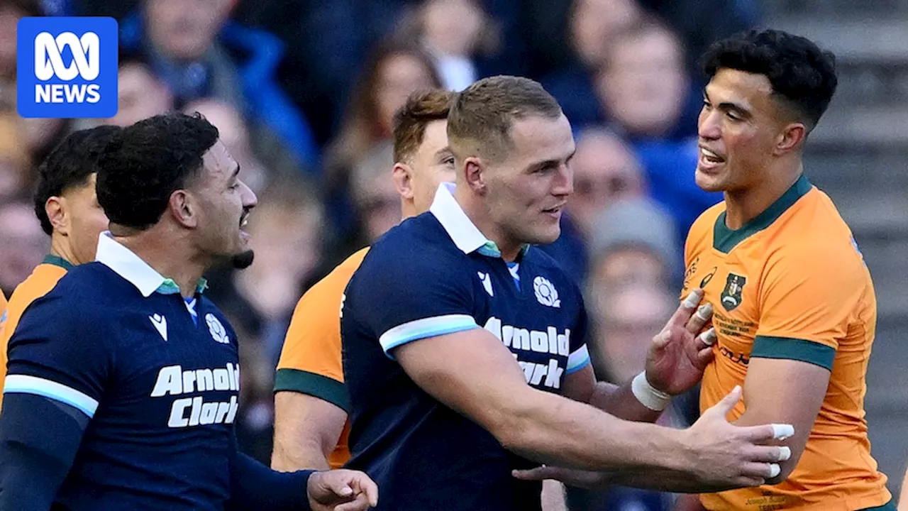 Joseph-Aukuso Suaalii plays down Sione Tuipulotu rivalry ahead of Wallabies and British and Irish Lions first Test