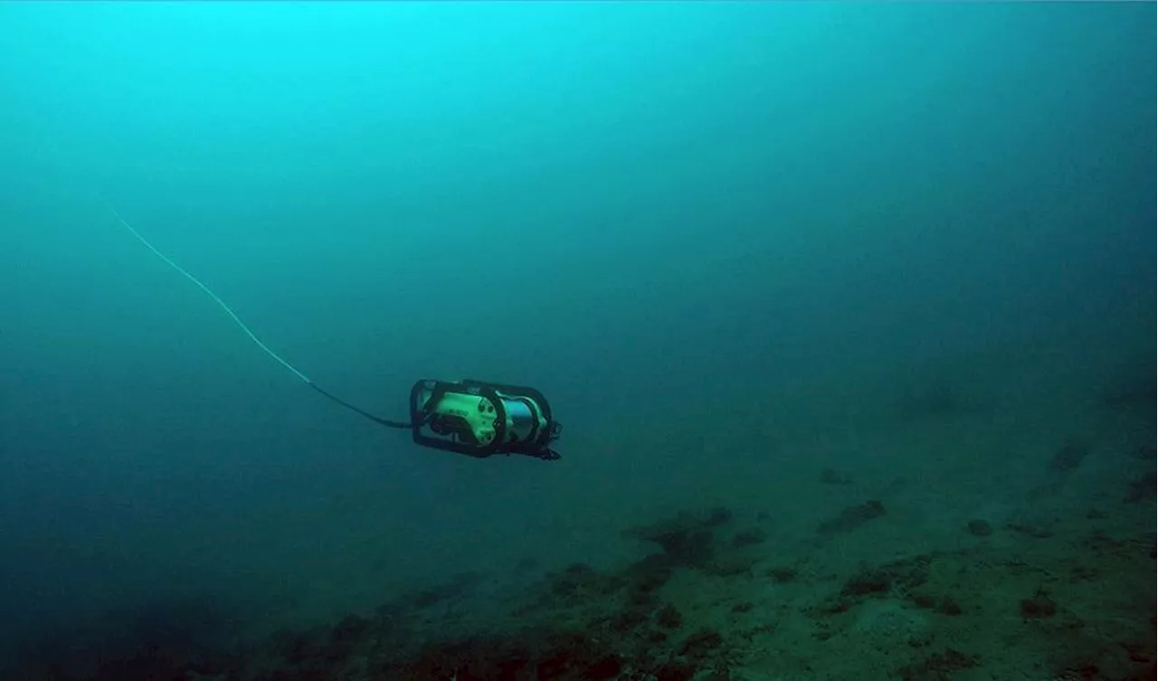 Coast Guard to use ROV in Taal Lake search for missing sabungeros