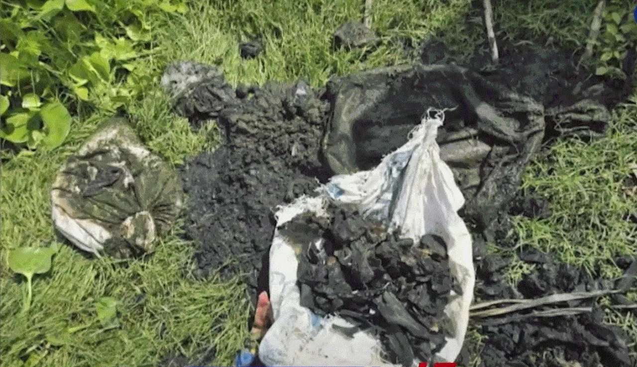 Human bones recovered from Taal Lake in missing sabungeros search —Torre