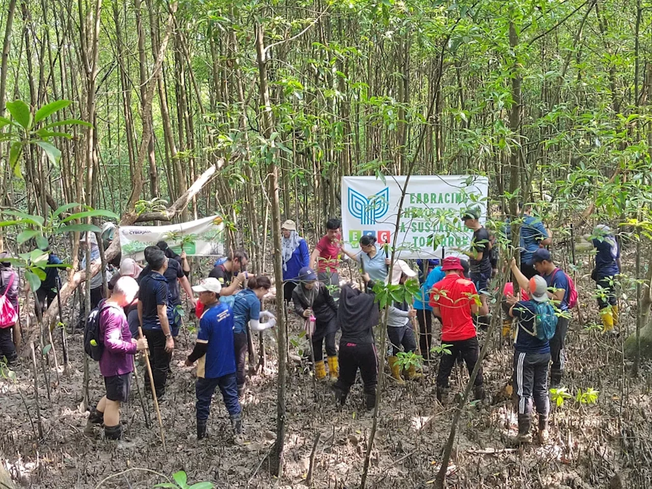 How CSR, SDGs and ESG are building a sustainable Malaysia — Dalilawati Zainal