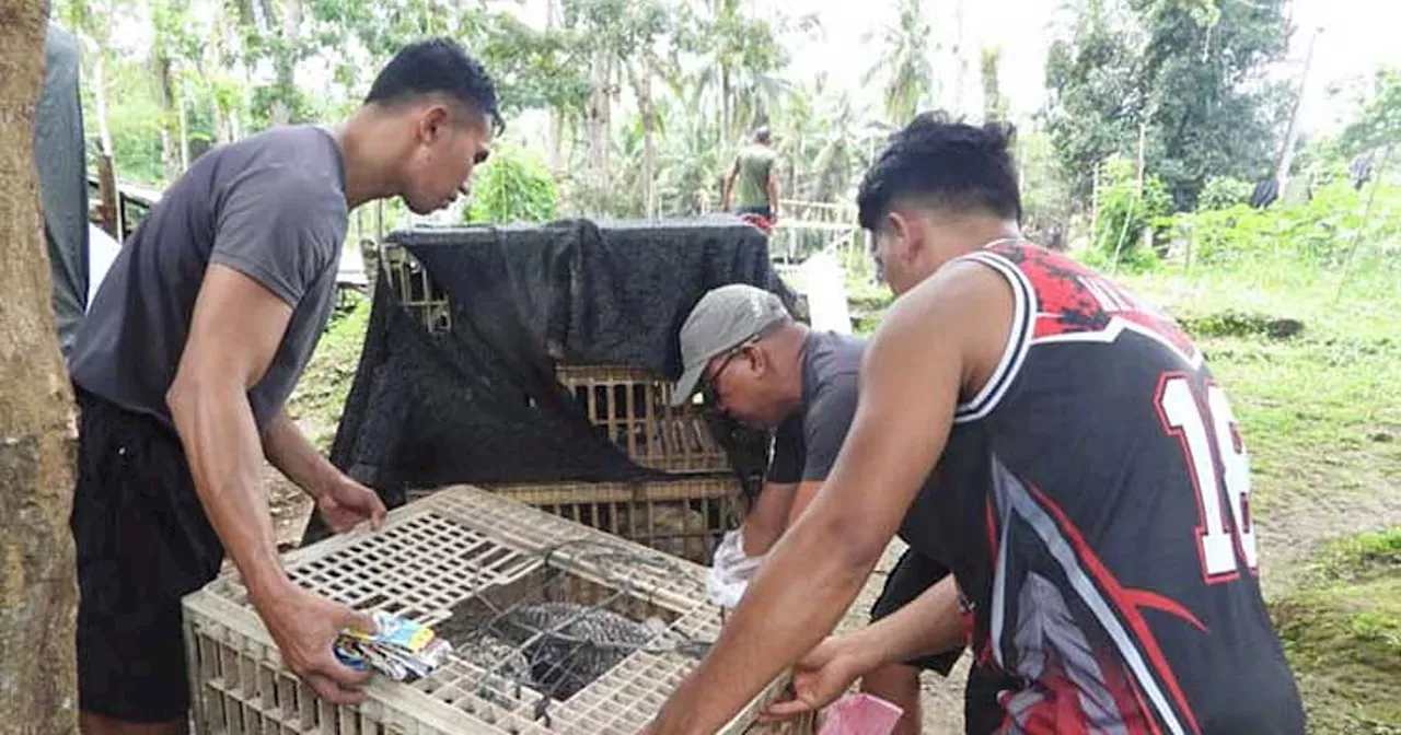 Foundation donates free-range chicken to 45IB