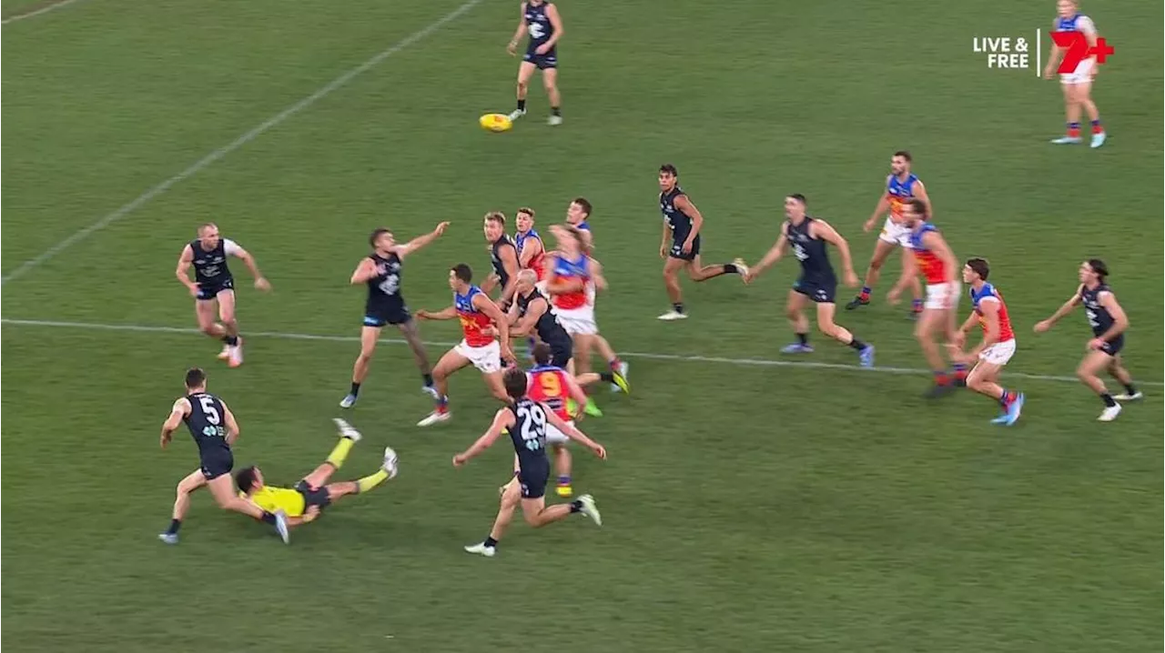 AFL world loses it over bizarre tribunal case as Adam Cerra cops fine for umpire contact