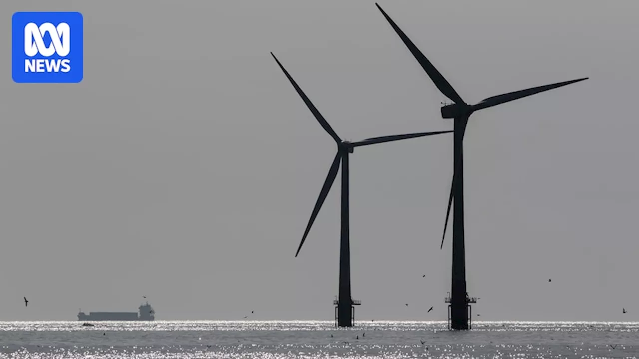 Offshore wind companies cool Australian interest as public investment considered