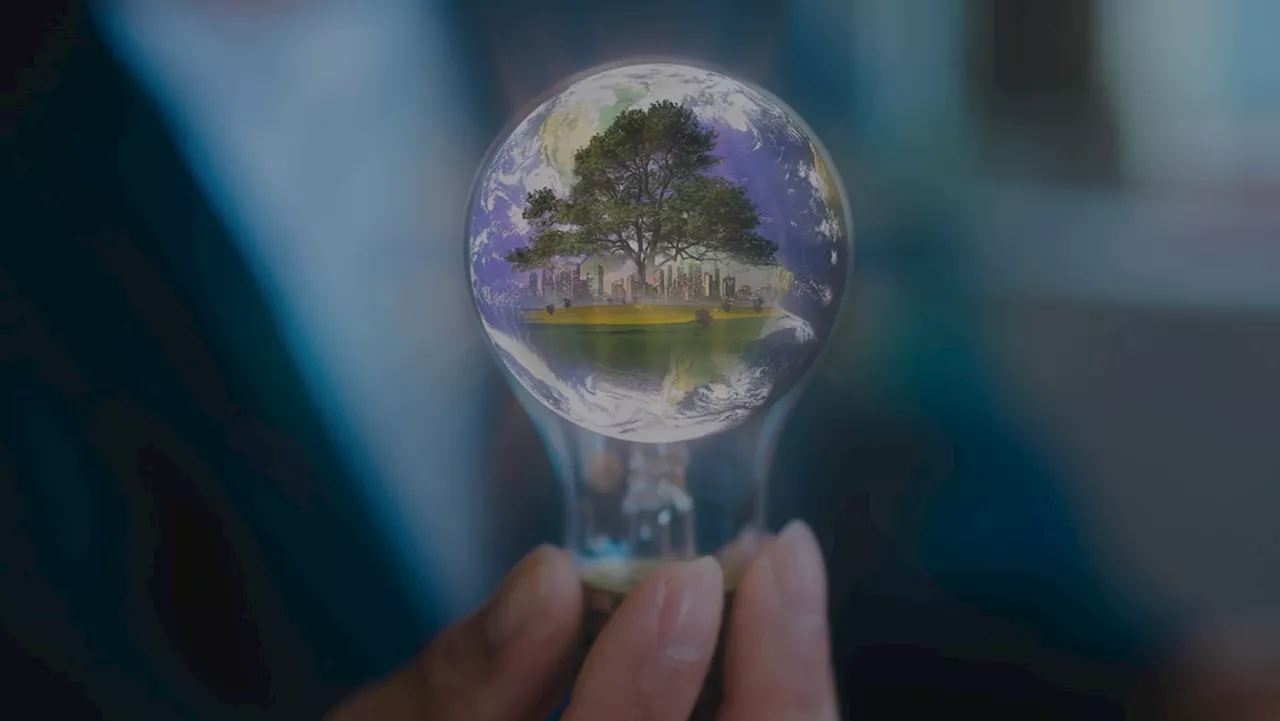 How two innovators won S$1 million each for tackling climate change with breakthrough ideas