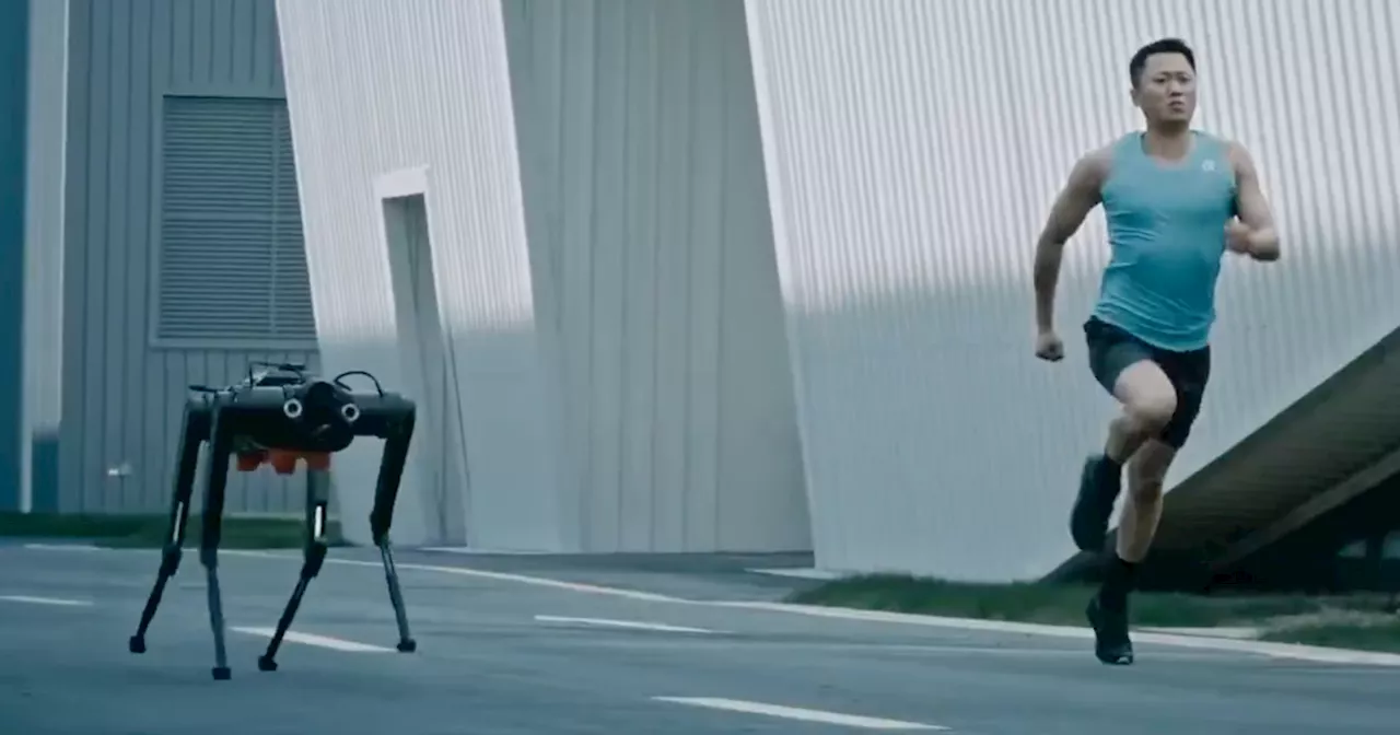 New Robot Dog From China Is Almost As Fast As Usain Bolt