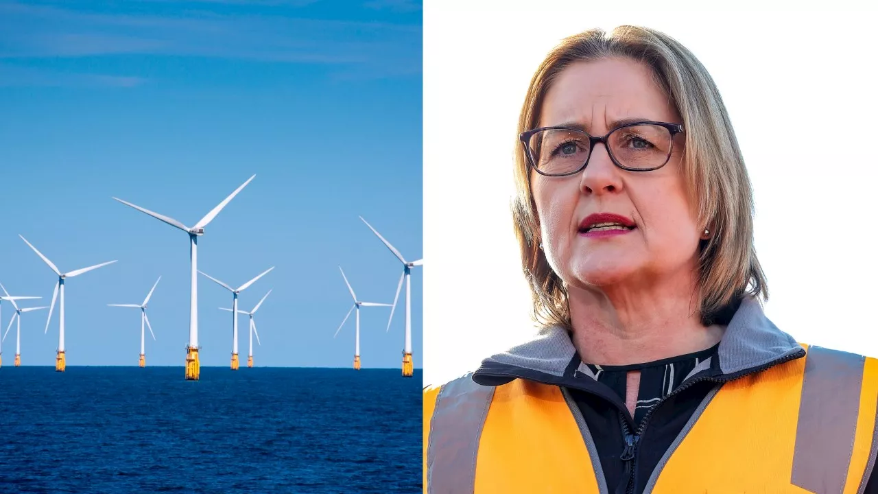 Renewable energy targets dealt fresh blow after major Vic windfarm collapses