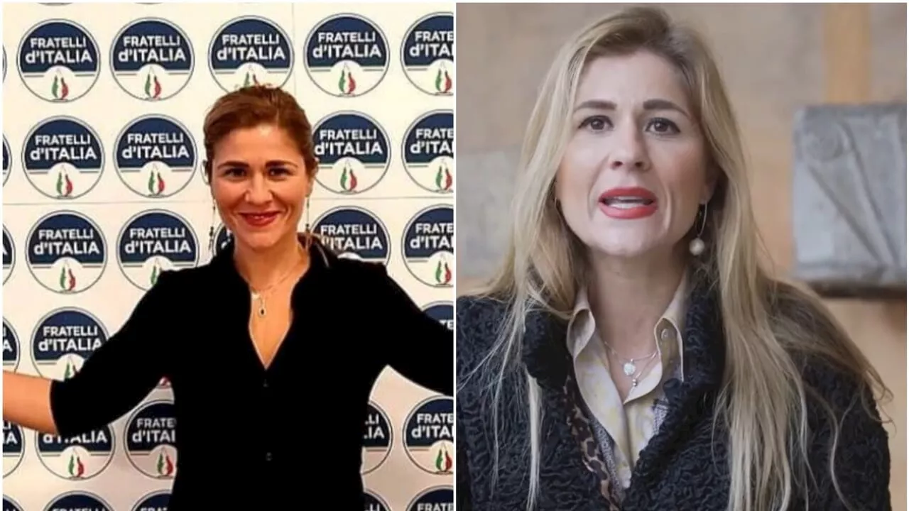 'Molestie sessuali da un iscritto di Fratelli d'Italia': le accuse di Elisabetta Fedegari