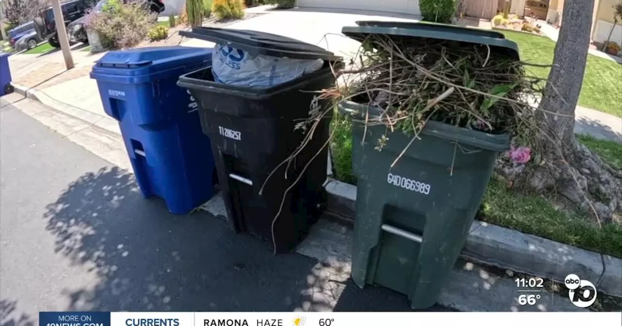 No state of emergency declared for Chula Vista amid trash pickup delays