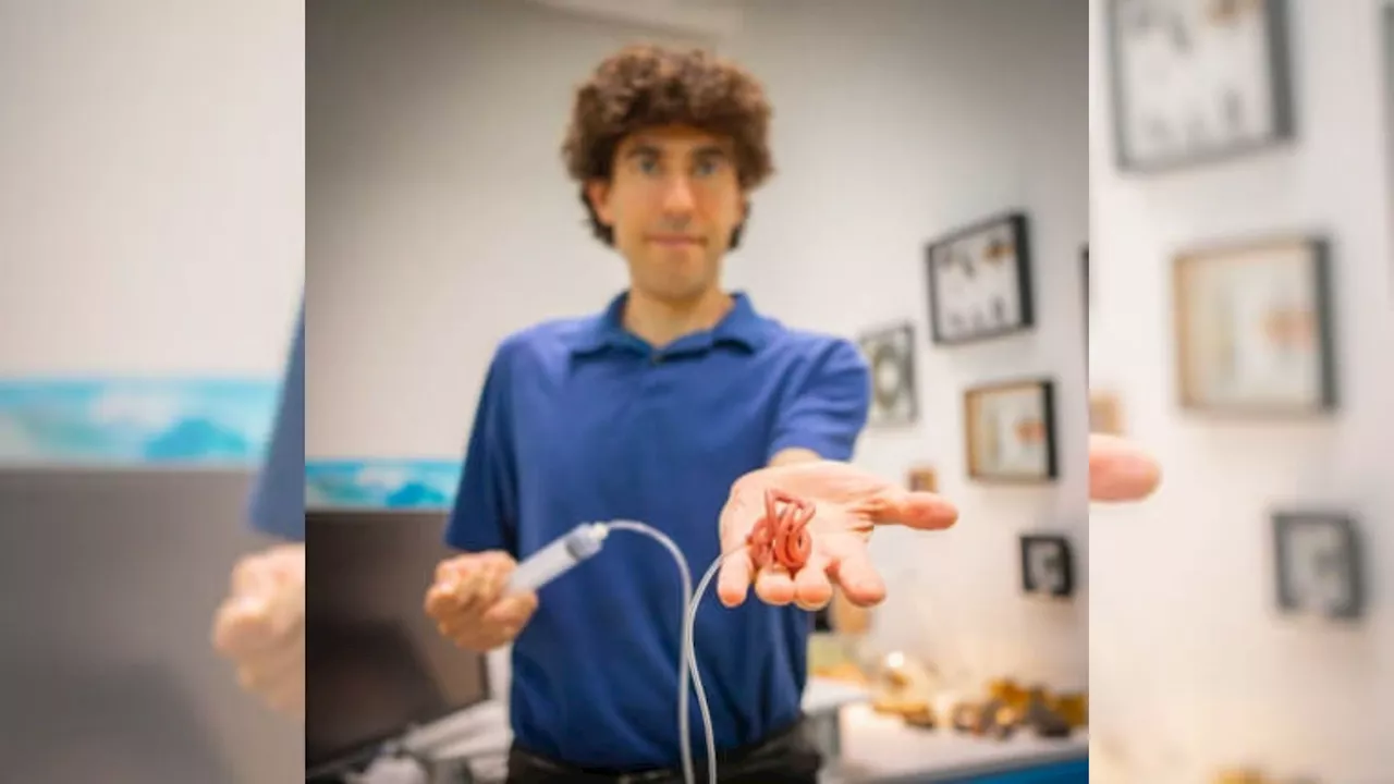 Harvard’s wriggling robot swarm mimics blackworms to move as one on land and water