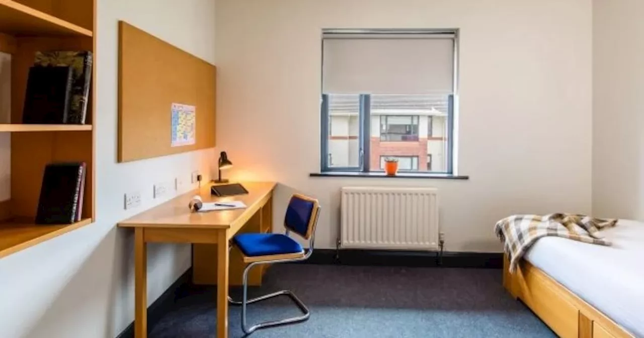 Student accommodation: Just 116 of 1,000 ‘emergency response’ beds will be delivered this year
