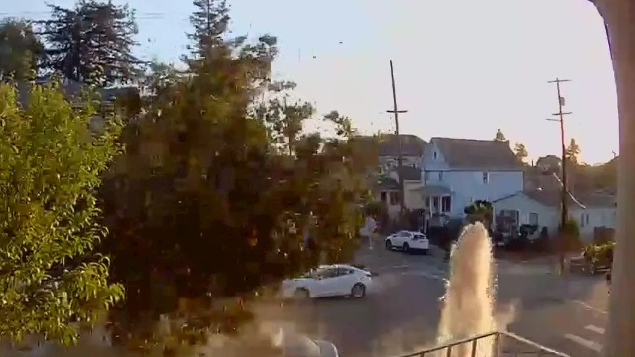 Oakland to install speed bumps where Castlemont teacher killed