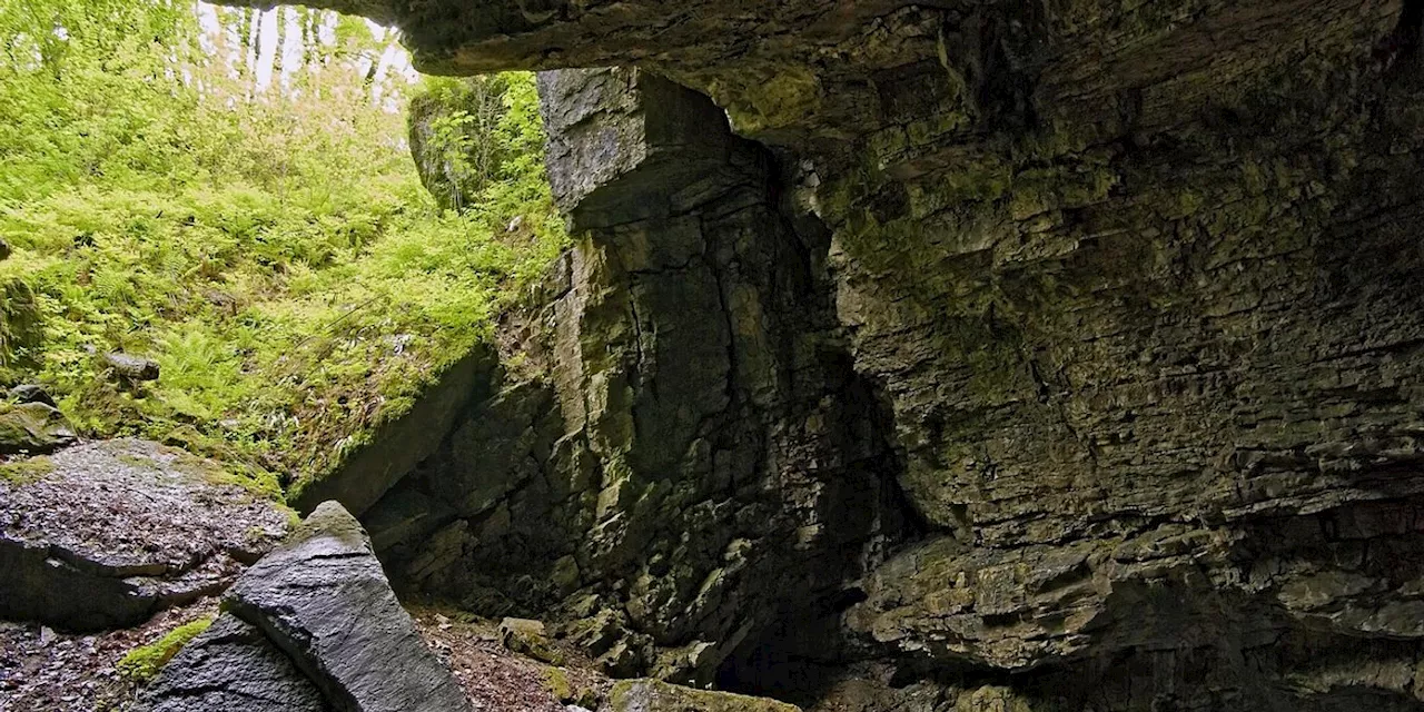 Polizei in Indien findet Familie in abgelegener Höhle