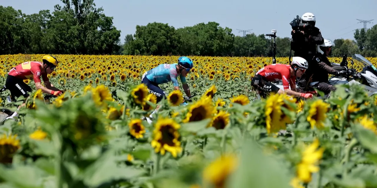 Tour de France: Mauro Schmid verpasst Etappensieg haarscharf