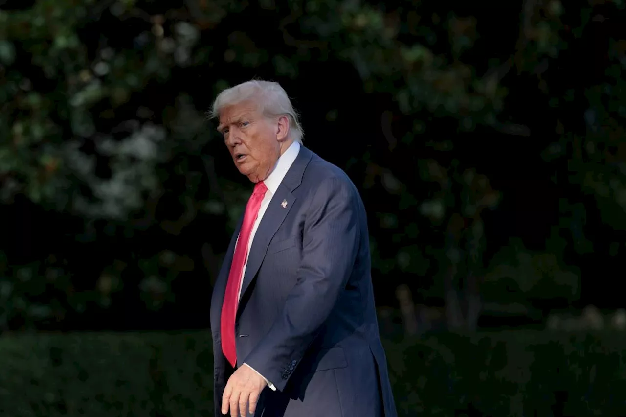 'Epstein files' explained: Why Trump is under pressure