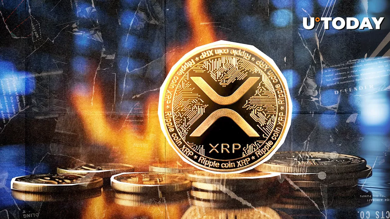 XRP Burns 100% in a Week: On-Chain Activity Suggests Market Might Be Getting Ready for Next Leg Higher