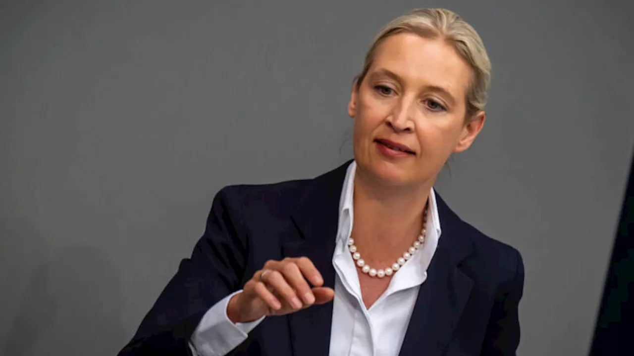 Weidel kanzelt den Kanzler ab