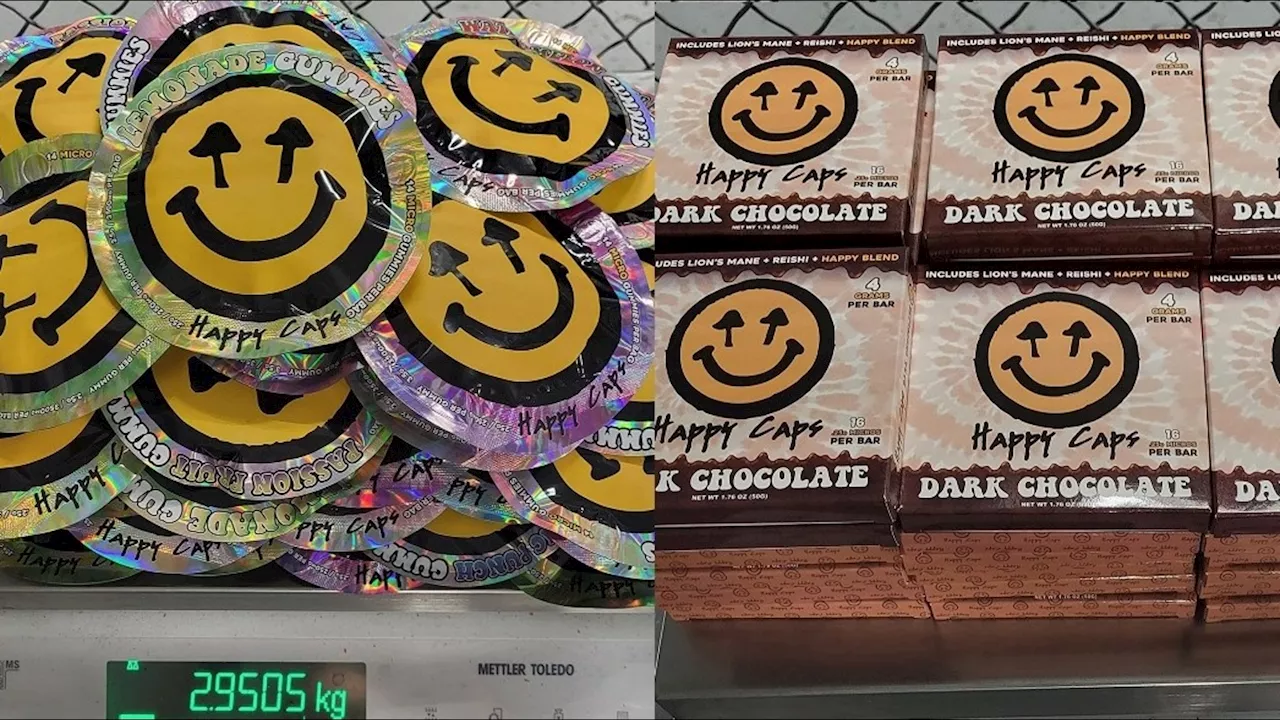More than 12 lbs. of magic mushroom gummies, chocolate and capsules seized in Philadelphia