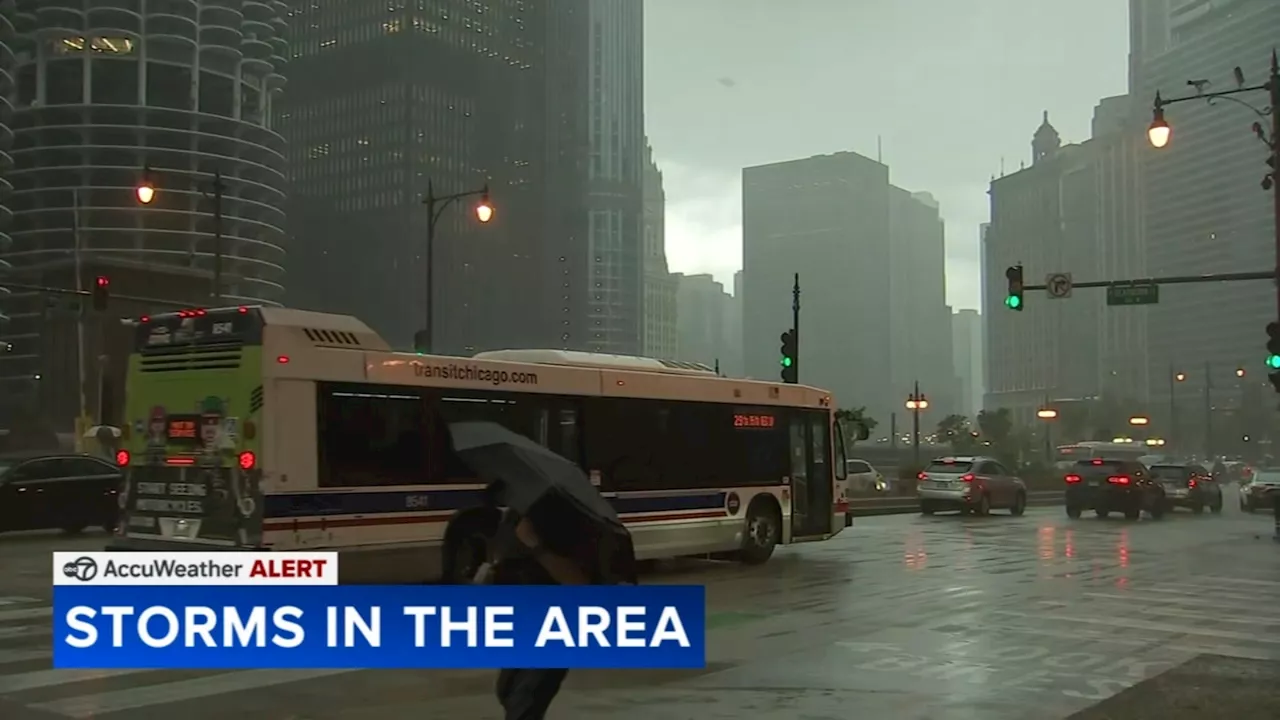 Strong storms sweep through Chicago area, downing trees, cutting power