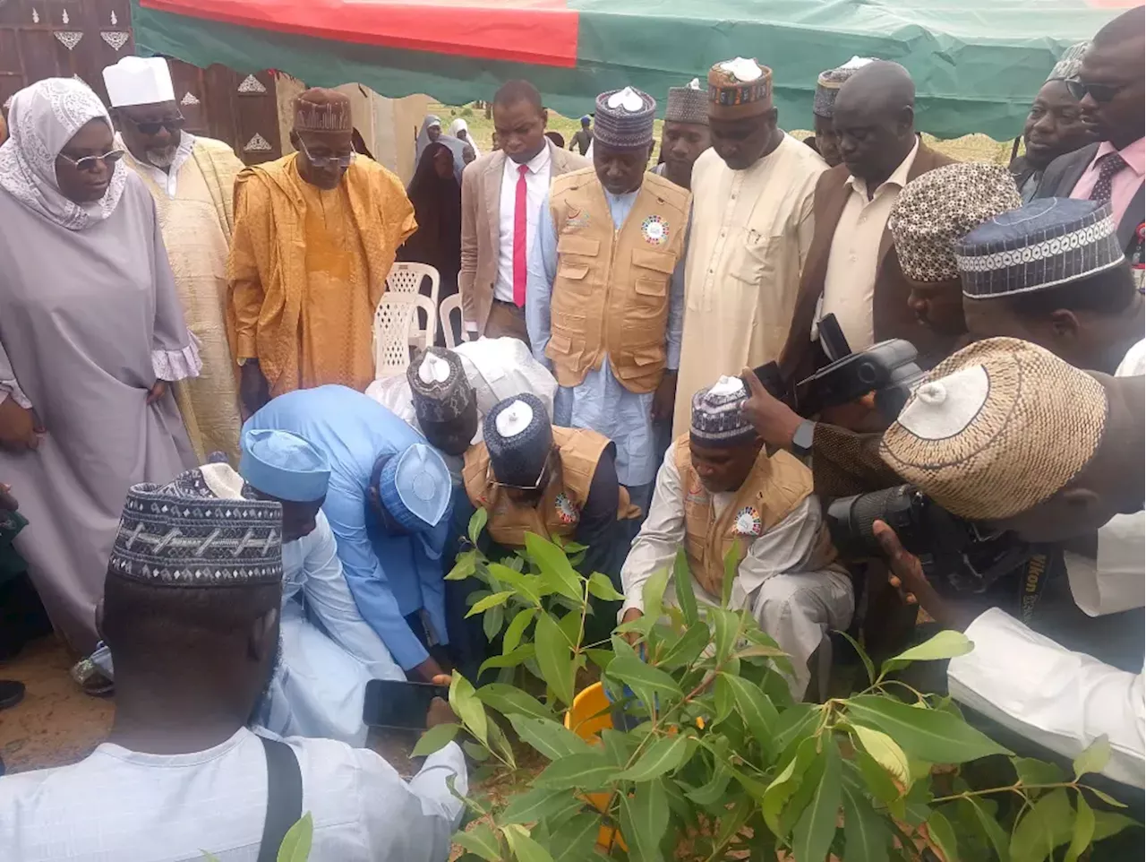 Jigawa Assembly warns against illegal cutting down of trees