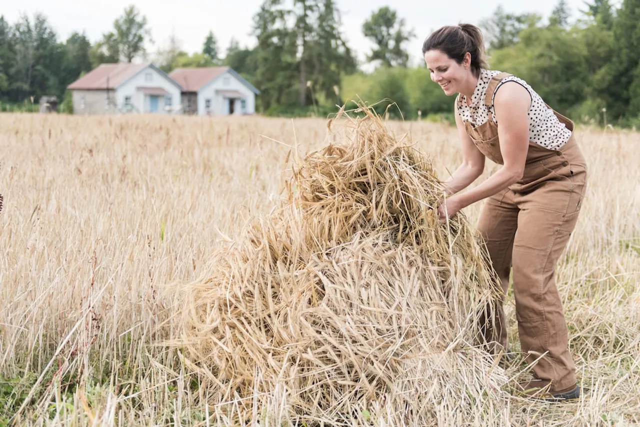 Métis-owned Locality Brewing is making ‘field-to-glass’ beer with heritage