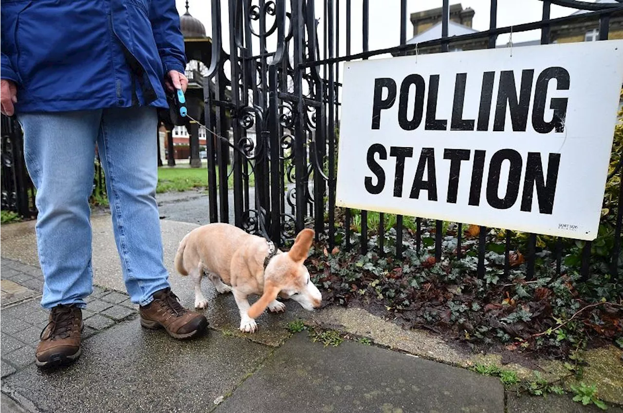 UK to lower voting age to 16 in landmark electoral reform