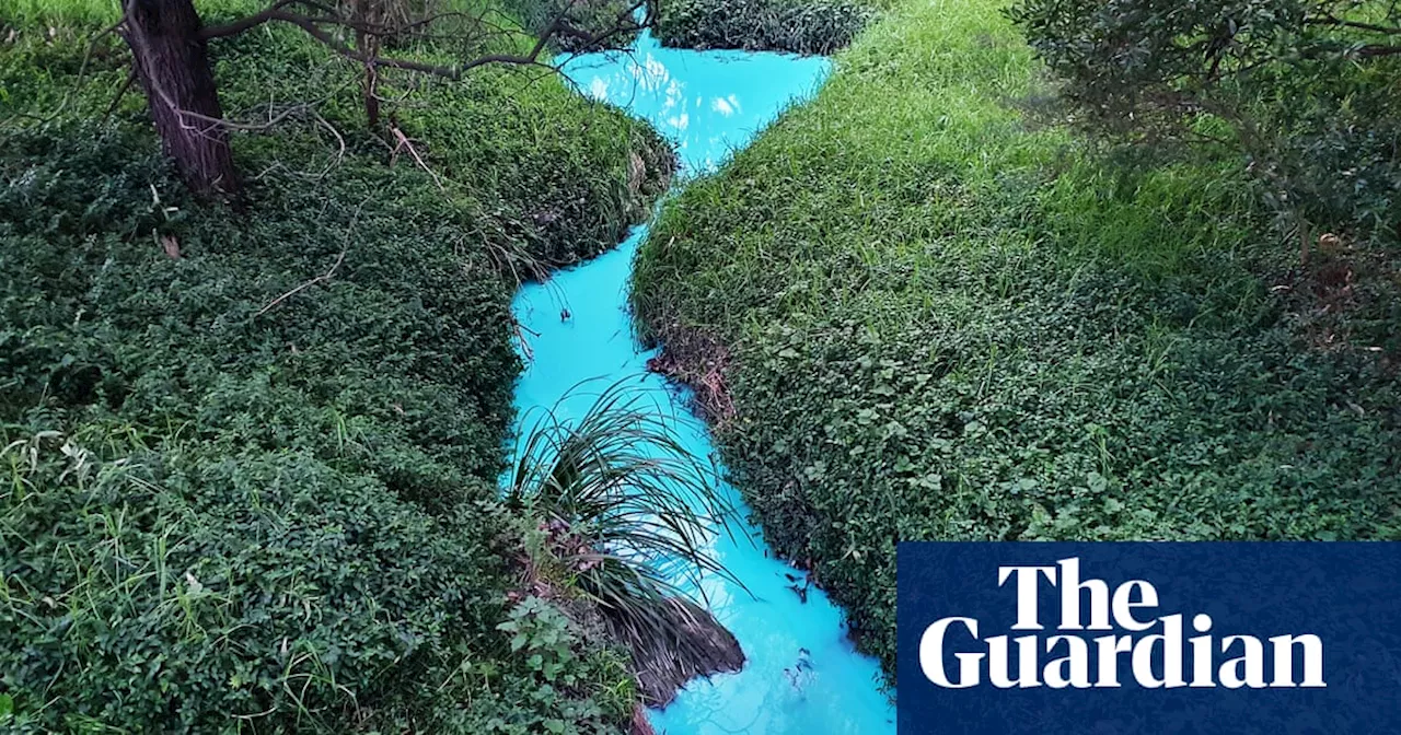 Melbourne creek turns bright blue after construction chemicals wash into waterway