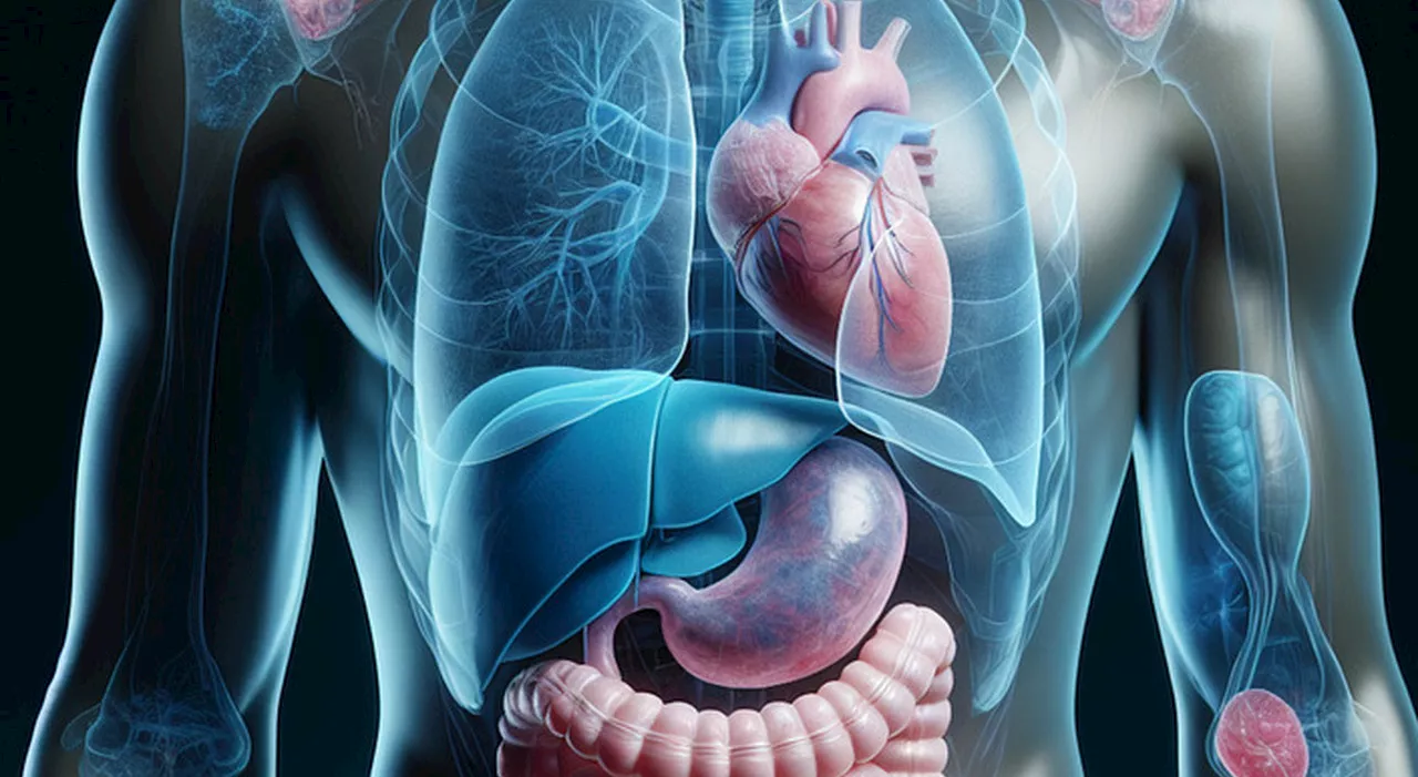 Tumori gastrointestinali, in aumento i casi tra gli under 50: dallo stile di vita sedentario al fumo fino il c