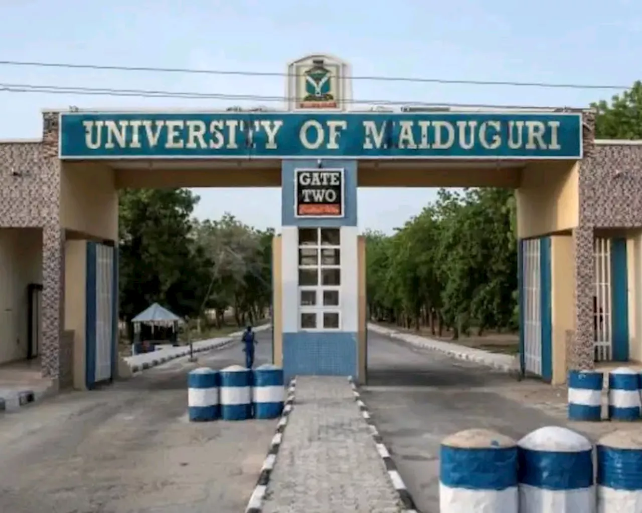 JUST IN: Tinubu renames University of Maiduguri to Muhammadu Buhari University