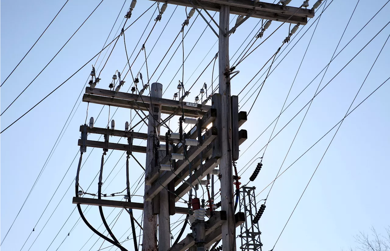Electricity: FOCPEN raises concerns over proposed bill, urges collaboration