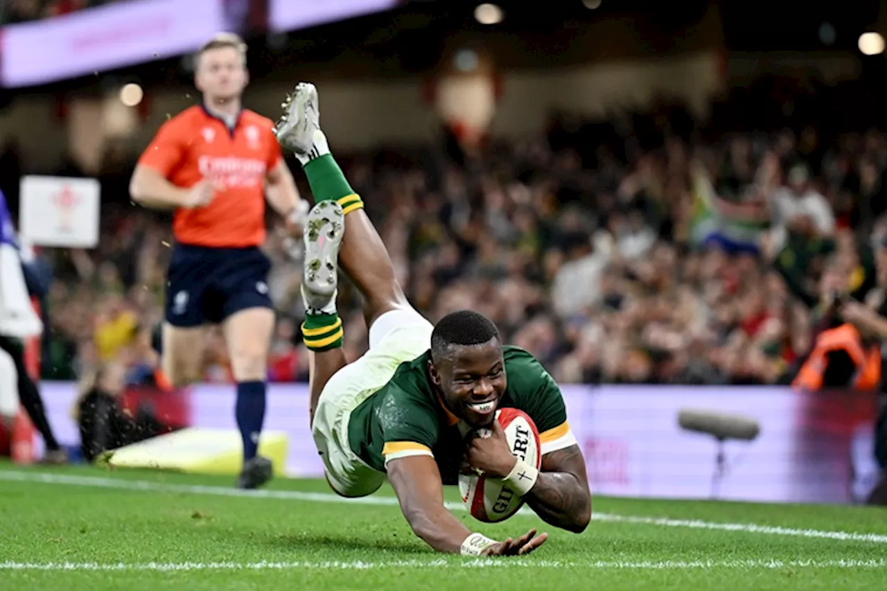Fullback Fassi says draws inspiration from Boks' creative environment - SABC News - Breaking news, special reports, world, business, sport coverage of all South African current events. Africa's news leader.