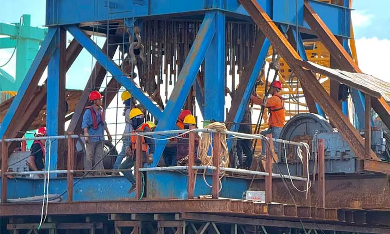 Writ of Kalikasan continues for Davao-Samal Bridge despite Tepo denial