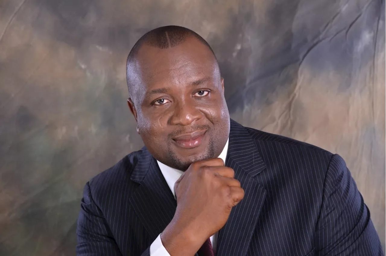 Asue Ighodalo’s campaign DG leaves PDP, says party has lost its founding vision