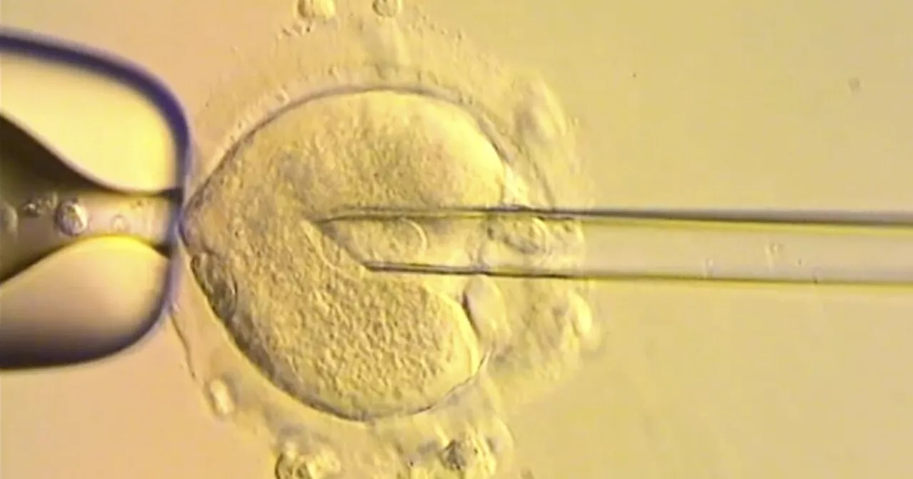 Eight Babies Born Using DNA From Three People in Britain
