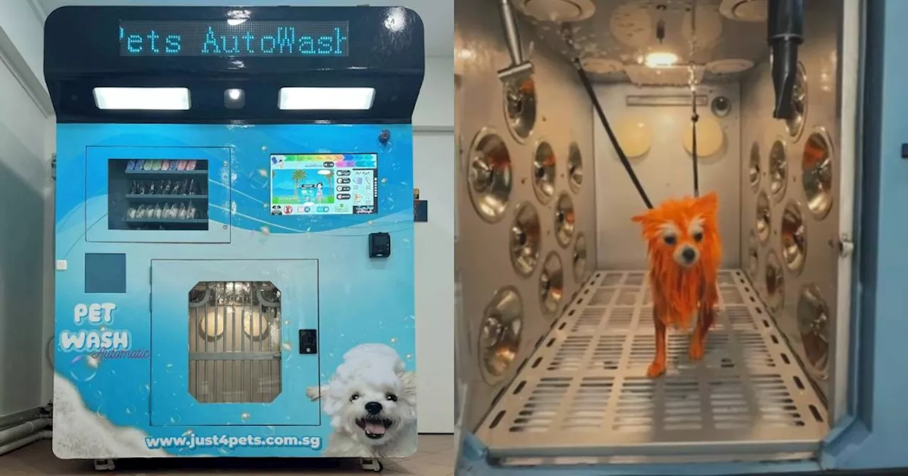 'Absolutely not okay': New auto pet washer at Holland Drive draws concern from netizens, SPCA