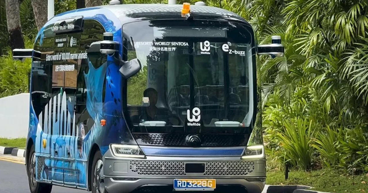Driverless bus in Sentosa gets green light to run without safety officer in first for Singapore