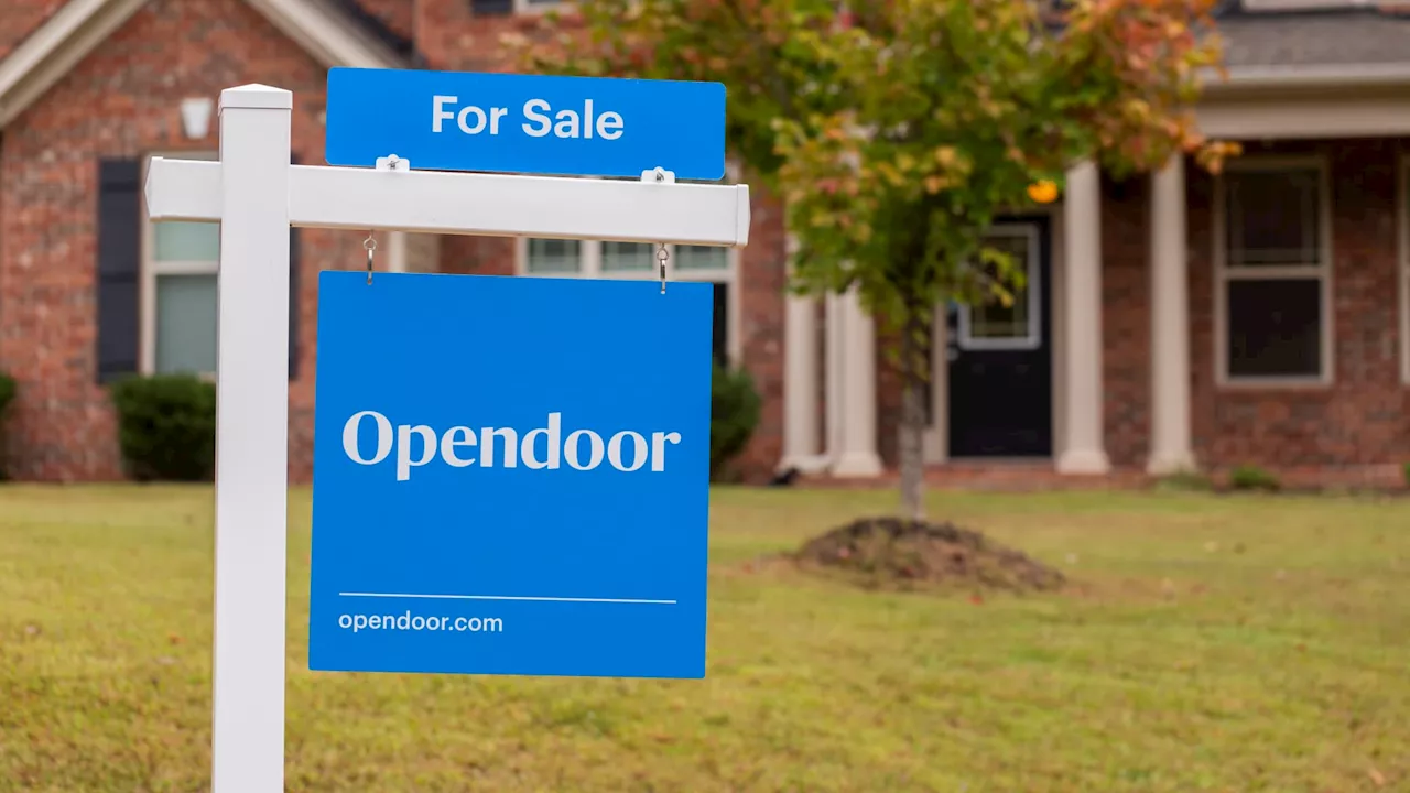 The investor behind Opendoor's 190% run nearly shut down his fund