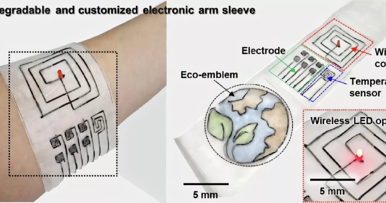 New biodegradable fiber tech help with e-waste