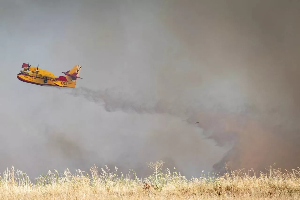 An uncontrolled wildfire sends a cloud of smoke over Spain's capital