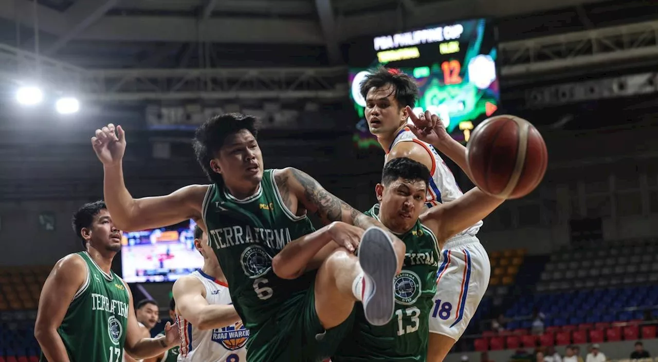 Terrafirma stays in PBA for next season