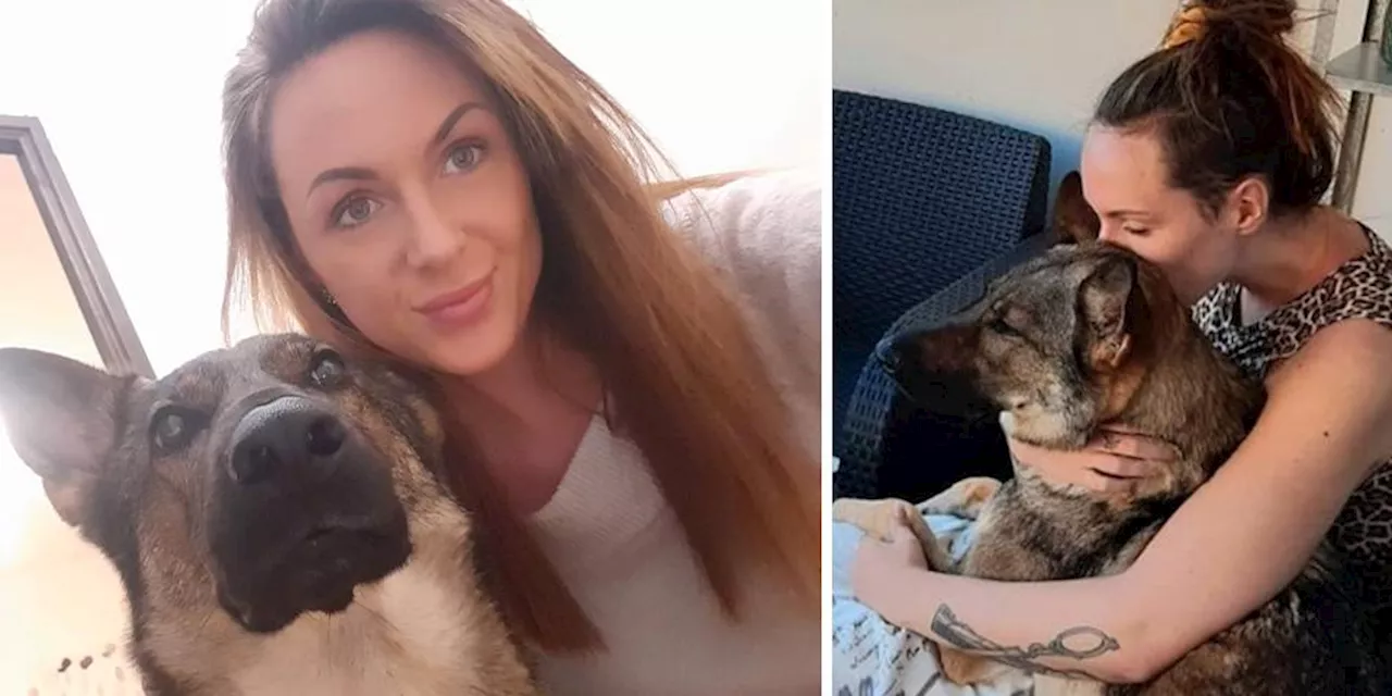 Felicias hund felkremerades på djursjukhuset