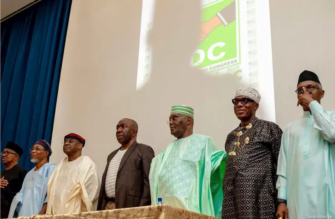 2027: We’re not here to play politics – ADC talks tough as coalition adopts party