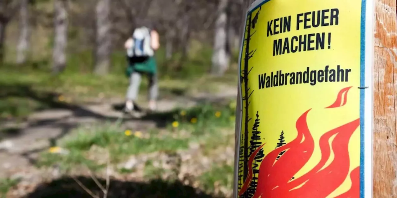 Waldbrandgefahr: Schweiz teilweise auf Alarmstufe vier