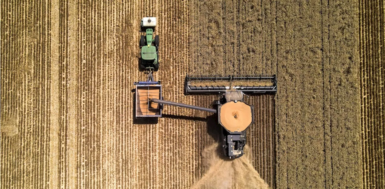‘Shit in, shit out’: AI is coming for agriculture, but farmers aren’t convinced