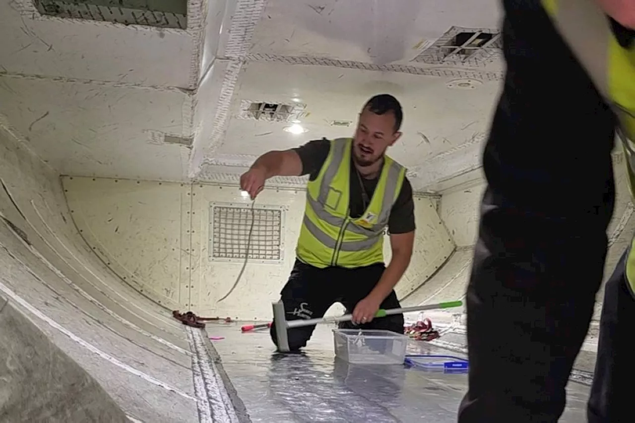 Snake on plane delays Australian local flight