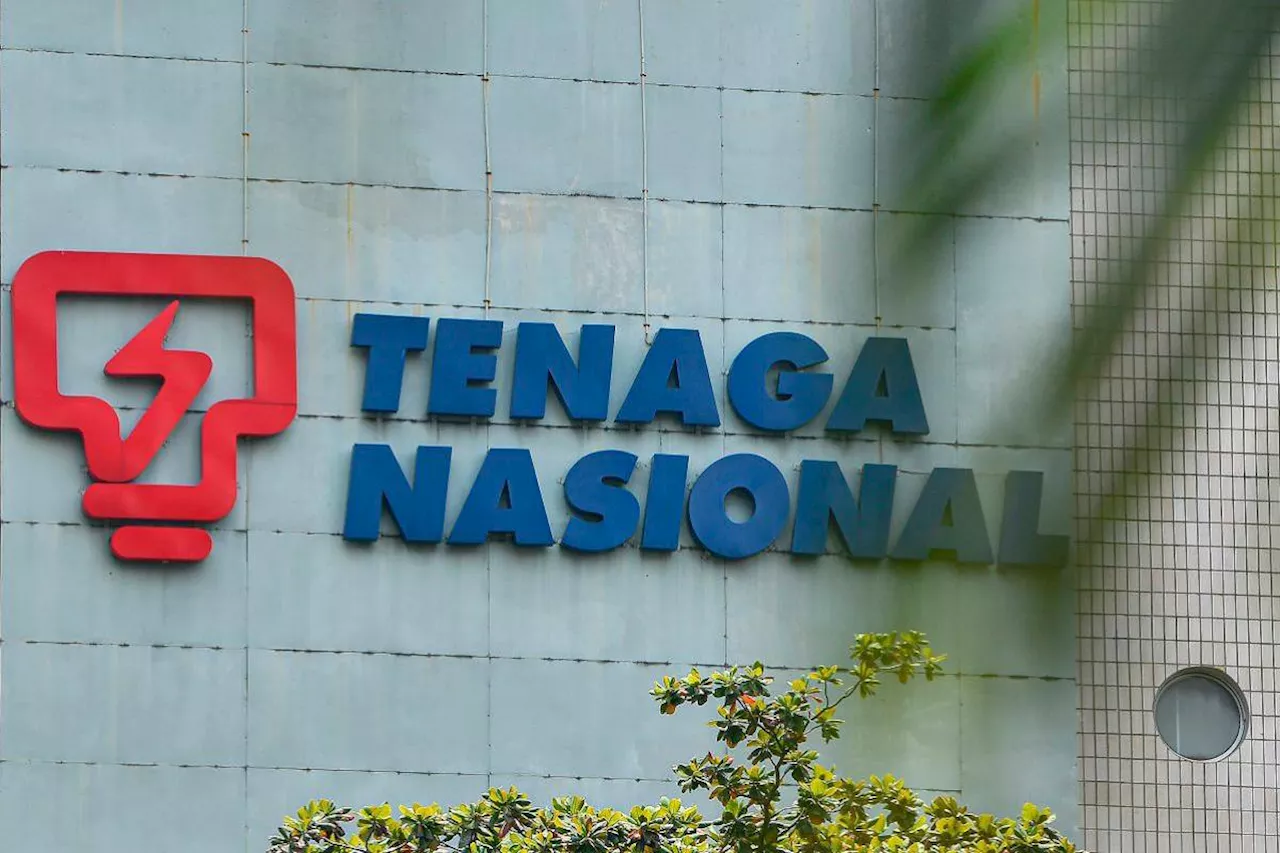 Penilaian cukai tambahan TNB: Mahkamah Persekutuan benarkan rayuan LHDN